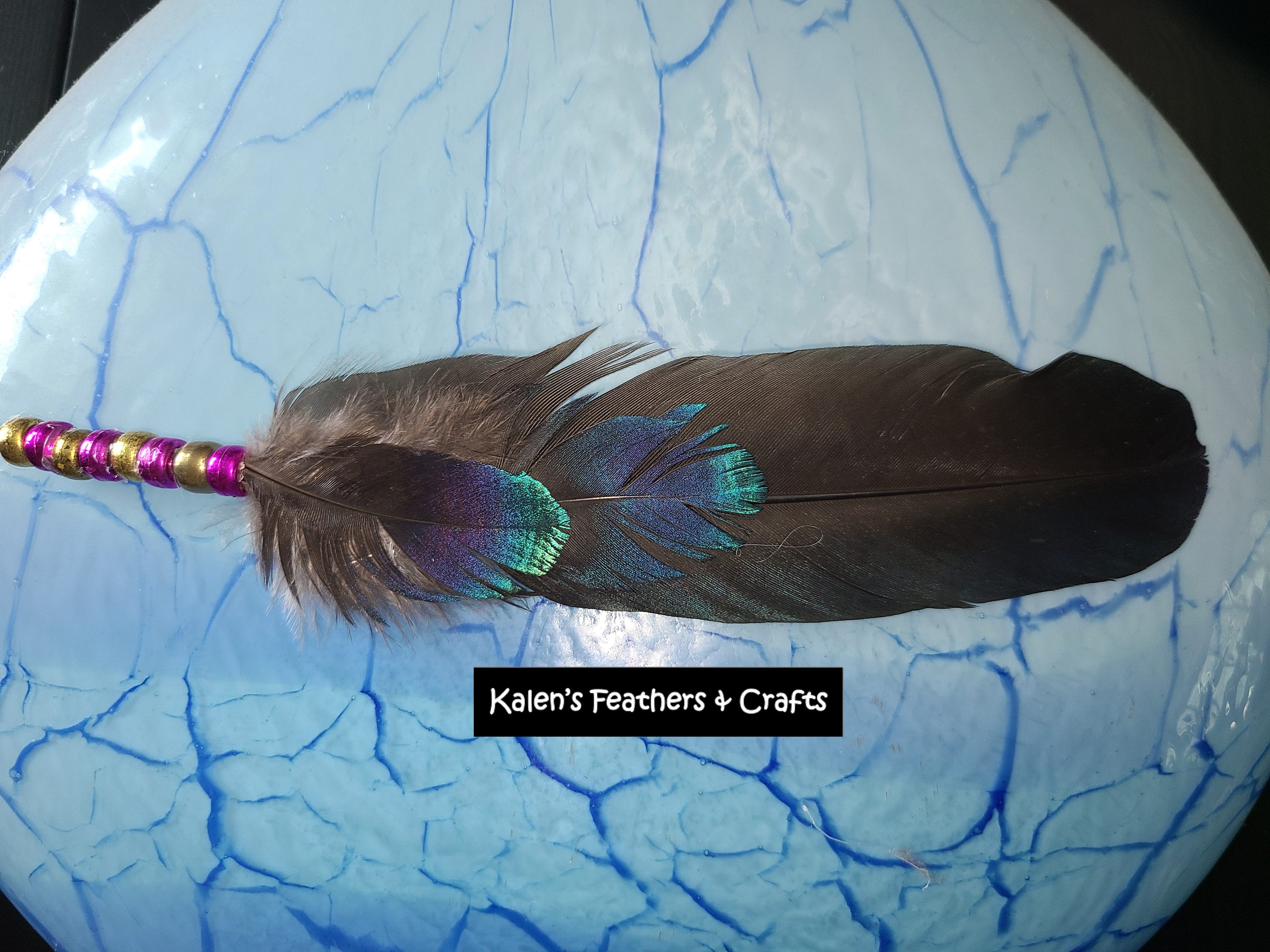 aviangenetics.com, DNA, genetics, DNA gel,  photo by Krissy Bird, microsatellite