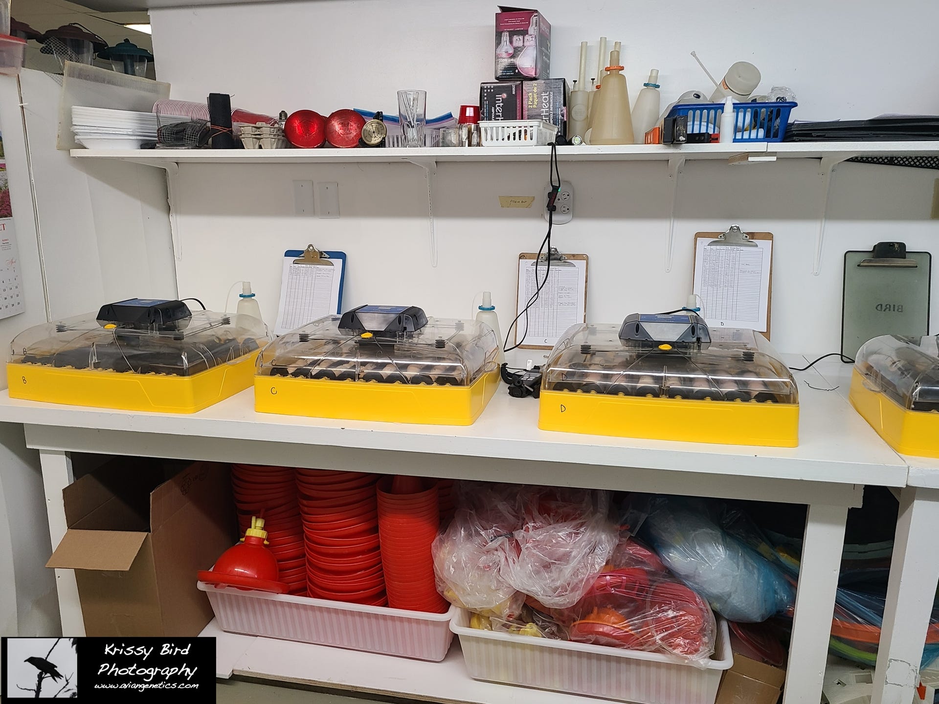 Pheasant Ridge Incubators